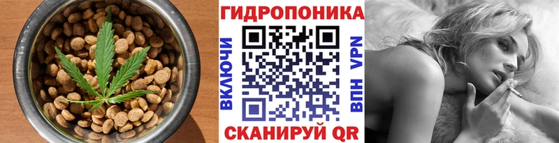 OMG Нефтегорск Canna-Cookies марихуана