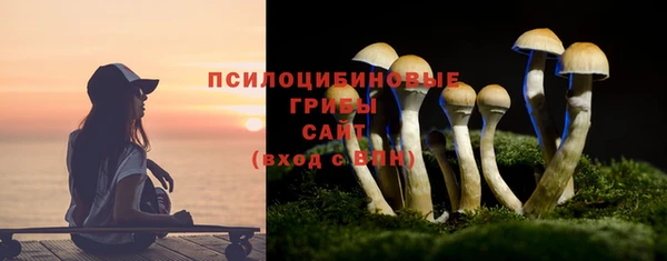 СК Абаза