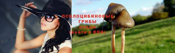 прущие крисы Абинск